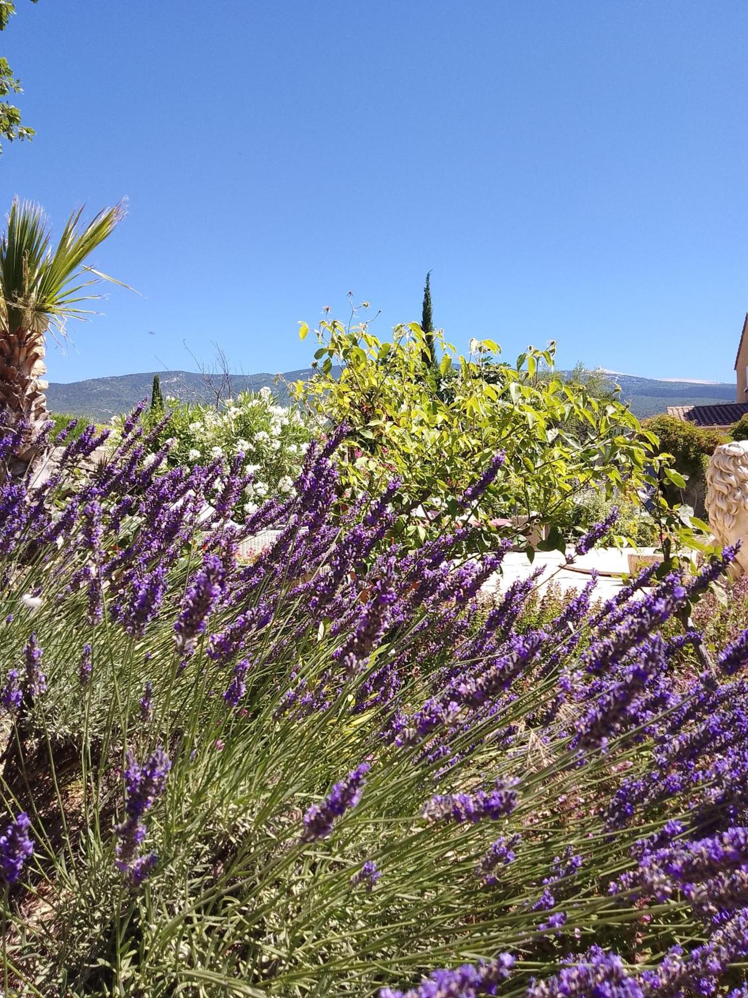 Les Gites Du Mont Ventoux ベドアン エクステリア 写真